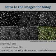 Intro To CellProfiler