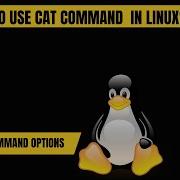How To Use Cat Command In Linux With Options Commands