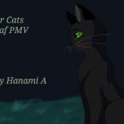 Warrior Cats Hollyleaf Wolf PMV Old
