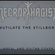 Necrophagist Mutilate The Stillborn Vocal And Guitar Cover