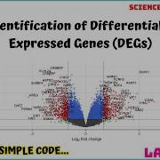 Microarray Data Analysis Finding DEGs Mastering The Logics Concepts Hand On Training