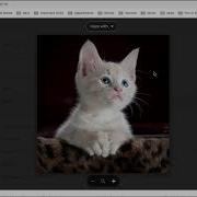 Deep Learning Session 6