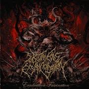 Subcutaneous Exsanguination Eradication Fascination Full Album 2026