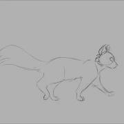 Cat Walk Cycle Test