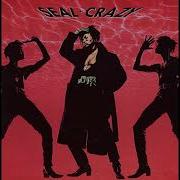 Seal Crazy Radio Edit 1990 HQ