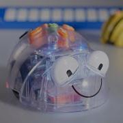 Bee Bot Blue Bot Tactile Code Reader