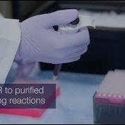 Sanger Sequencing Kit
