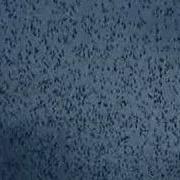 Broken Social Scene Lover S Spit