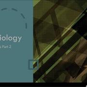 Cell Structure Function Part 2 AP Biology