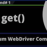 Get Selenium WebDriver Command