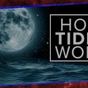 What Physics Teachers Get Wrong About Tides Space Time PBS Digital Studios