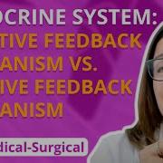Negative Feedback Mechanism Vs Positive Feedback Mechanism Med Surg Endocrine LevelUpRN