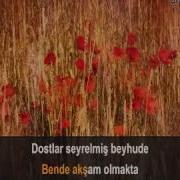 Zalim Karaoke