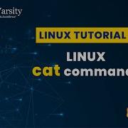 Linux Cat Command