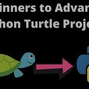 Python Turtle Graphics Project