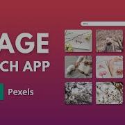 Create A Javascript Image Search App Using Pexels API