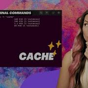 Cache Learn About CPU Through Linux Commands CPU Cache RAM Linux LinuxCommands