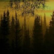 From The Sunset Forest And Grief My Suicide Path