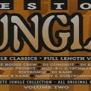 Best Of Jungle 2 1994 Low Price Music CD Compilation