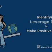 Identifying Leverage Points To Make A Positive Change