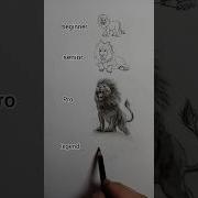 Lion Drawing In Different Levels Dreamofpaintingwithme Art Drawing Painting Shorts