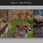 Hands On Deep Q Learning Convolutional Neural Network Packtpub Com