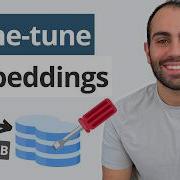 Fine Tuning Text Embeddings For Domain Specific Search W Python
