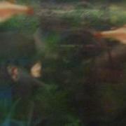 Mah Fish Tank Avi