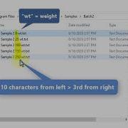 Import Multiple Files Into Same Sheet