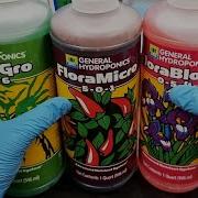 How To Use General Hydroponics Flora Series Tri Part Trio Feed Schedule Micro Gro Bloom Best Mix
