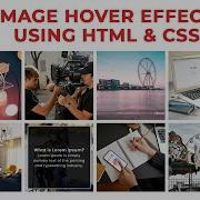 Css Image Hover Effects Pure Css Direction Aware Image Gallery Hover Effects Hover Effect Css3