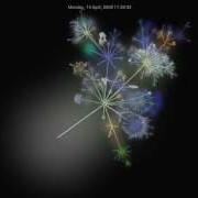 Lazarus Source Code History Visualized With Gource