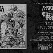 Anatomia Eternal Rot Split Full Album Stream Gurgling Gore 2024