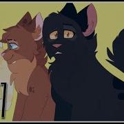 Walking In Circles Multifandom MAP Part 7 Ninjago Catified