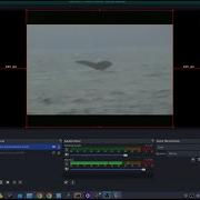 Захват видео с USB накопителя под управлением Linux с использованием Ubuntu KDE и OBS Studio