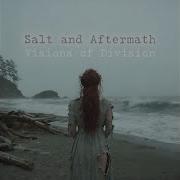 Salt And Aftermath