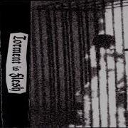 Torment Is Flesh FULL SPLIT Black Metal