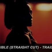 IRREVERSIBLE STRAIGHT CUT Official Trailer