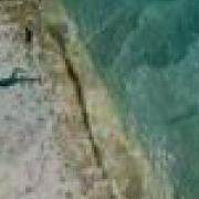 I Dream Of Turkey Tarkan Hup