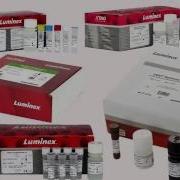 Luminex XMAP Technology