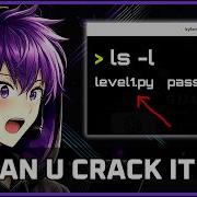 The SECRET To Cracking Passwords With Simple Python Scripts CTF