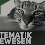 Was Ist Systematik Die Raffinierte Einteilung Der Lebewesen