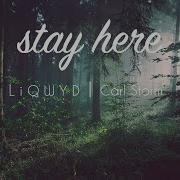 LiQWYD Carl Storm Stay Here Official