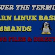 Conquer The Terminal Learn Linux CP Command