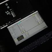 Orca Live 1