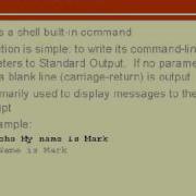 The Echo Command In Shell Scripting