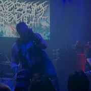 Frozen Soul Morbid Effigy LIVE Skully S Columbus OH 10 02 24