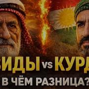 В чем разница между ЕЗИДАМИ и КУРДАМИ