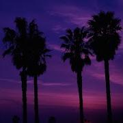 Breeze