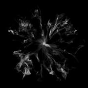 Shockwave Implosion 01